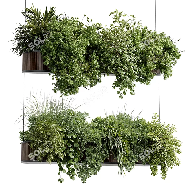 Greenery Charm - Corona Hanging Plant 3D model image 8