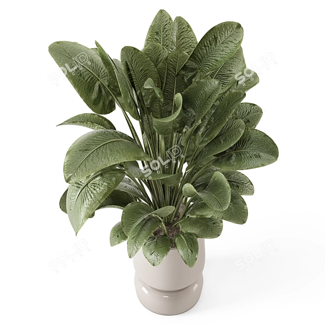 Handmade Stone Pot Indoor Plants 3D model image 2