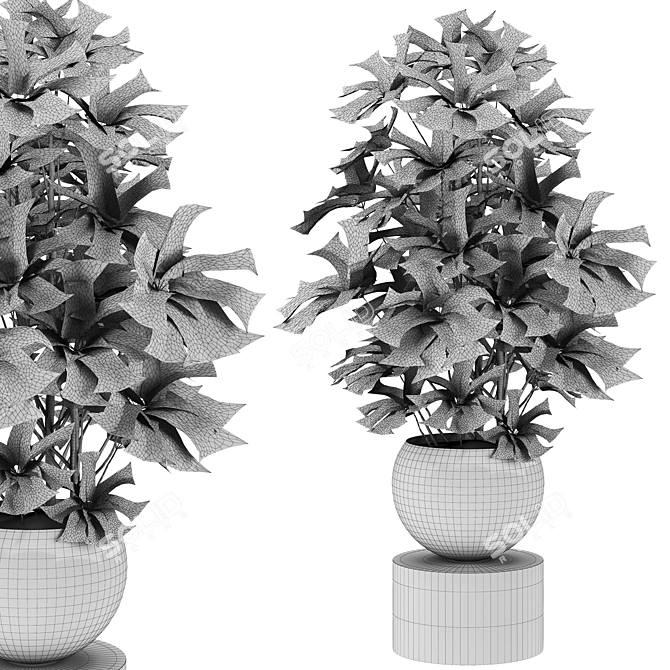 Vibrant Plant Set for Vray 3D model image 3