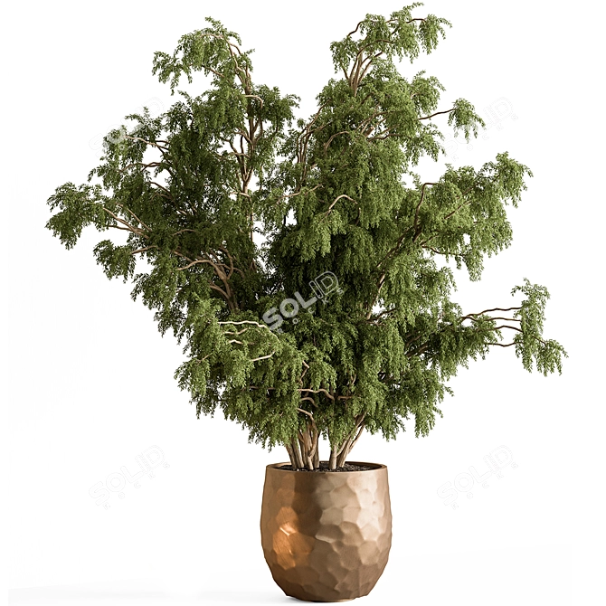 Tree in Pot: Indoor 740 3D model image 1