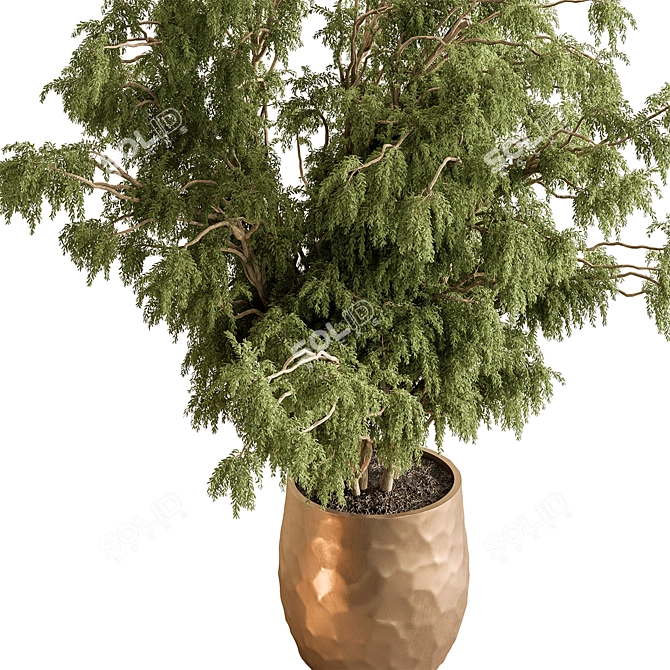 Tree in Pot: Indoor 740 3D model image 2