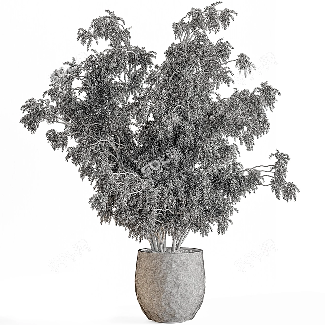 Tree in Pot: Indoor 740 3D model image 4