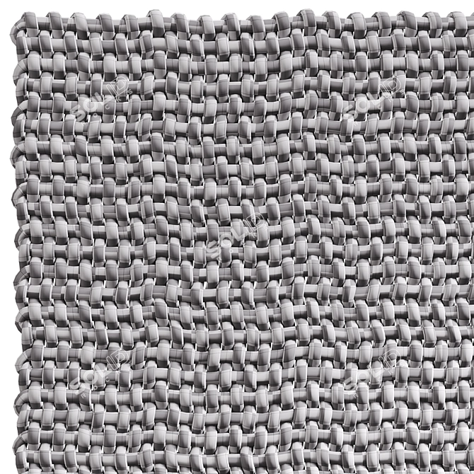 Skido Rope Weave Carpet 3D model image 7