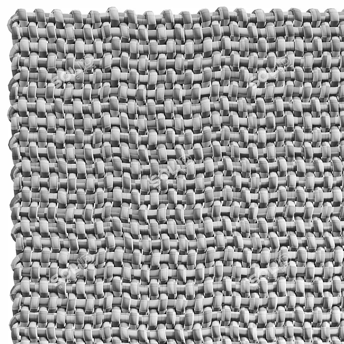 Skido Rope Weave Carpet 3D model image 8