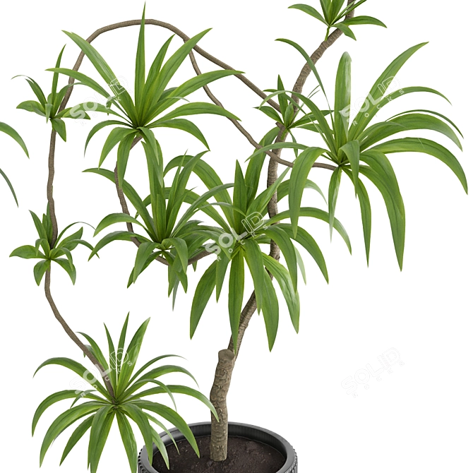 High-Resolution Plants Set 20 3D model image 3