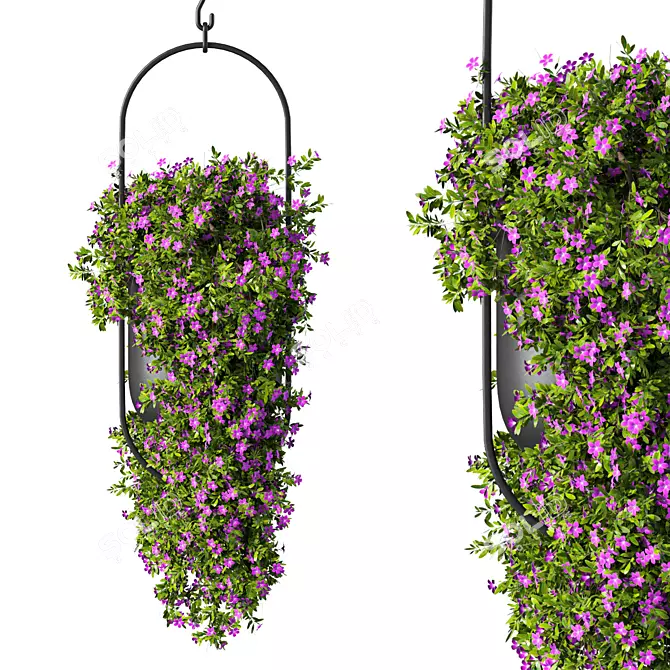  Contemporary Hanging Plant Set 3D model image 2