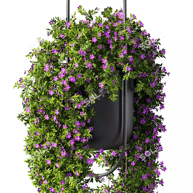 Contemporary Hanging Plant Set 3D model image 3