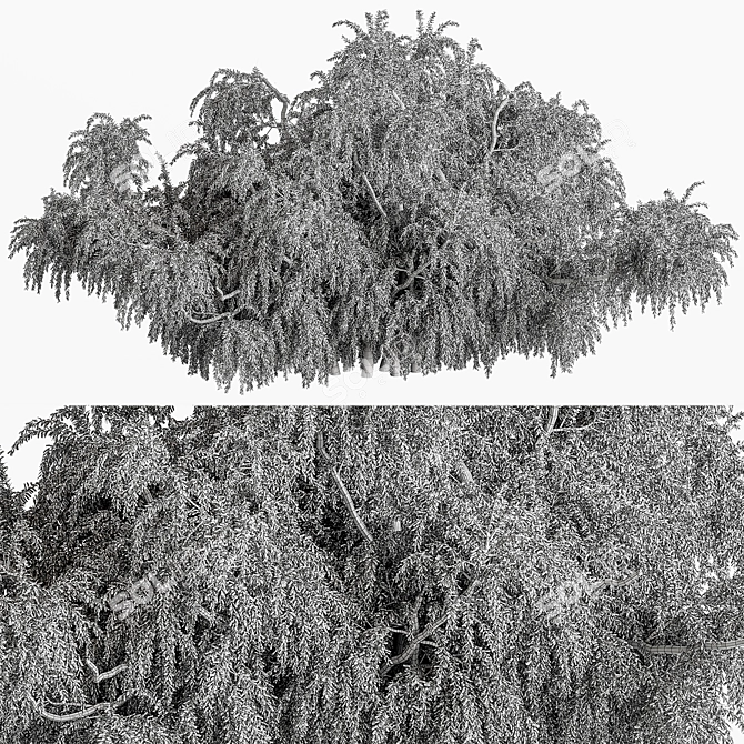 Natural Willow Bush Set 145 3D model image 3