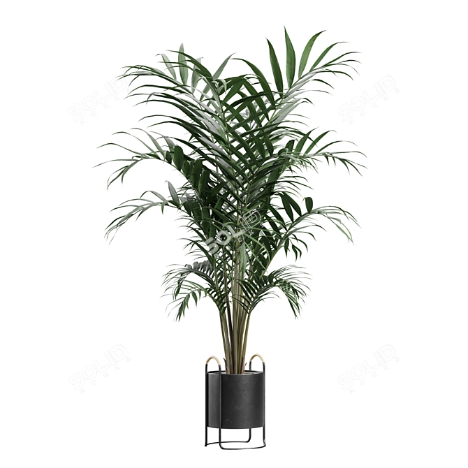 Exotic Indoor Plants Collection Pack 3D model image 7