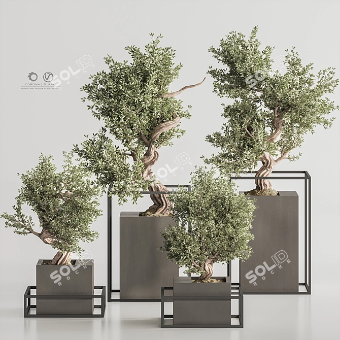 Exquisite Bonsai & Indoor Plant 3D model image 1