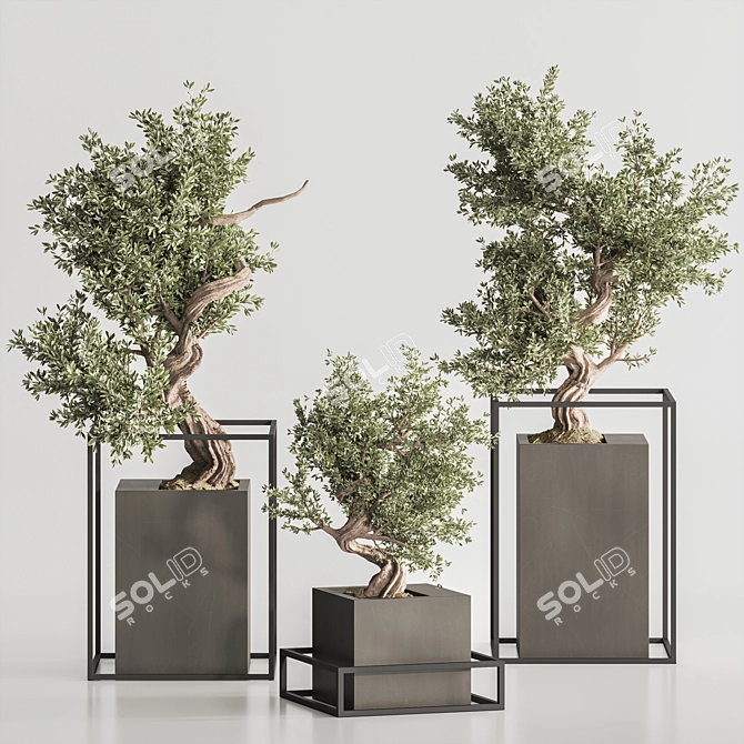 Exquisite Bonsai & Indoor Plant 3D model image 2