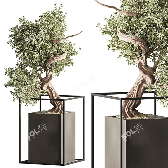 Exquisite Bonsai & Indoor Plant 3D model image 4
