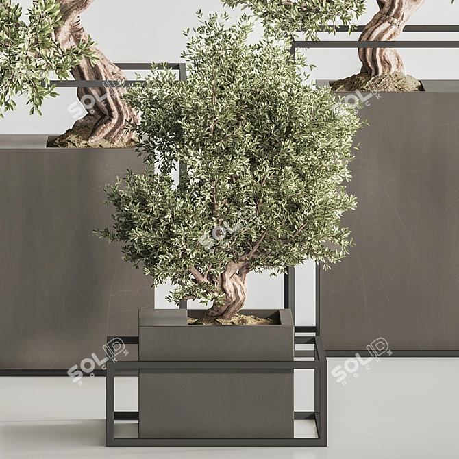 Exquisite Bonsai & Indoor Plant 3D model image 5