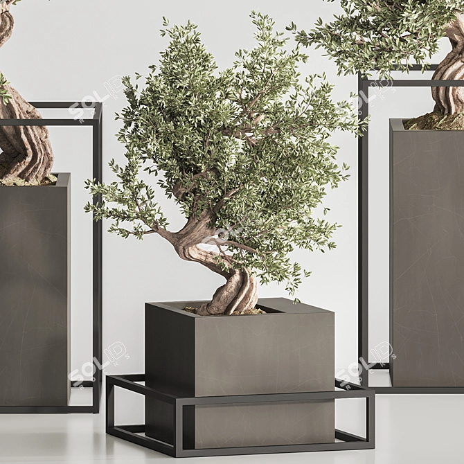 Exquisite Bonsai & Indoor Plant 3D model image 6