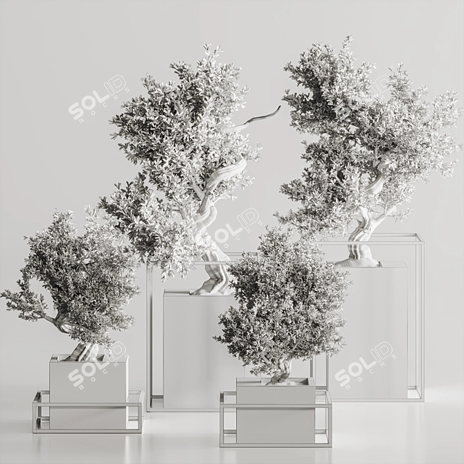 Exquisite Bonsai & Indoor Plant 3D model image 7