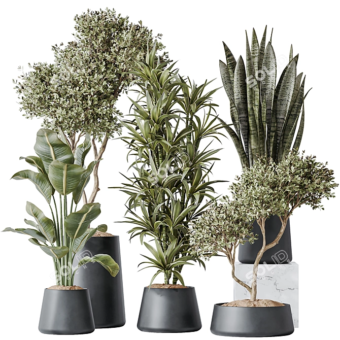 Urban Jungle Plant Set: 5 Varieties 3D model image 1