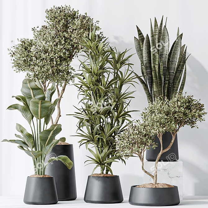 Urban Jungle Plant Set: 5 Varieties 3D model image 2