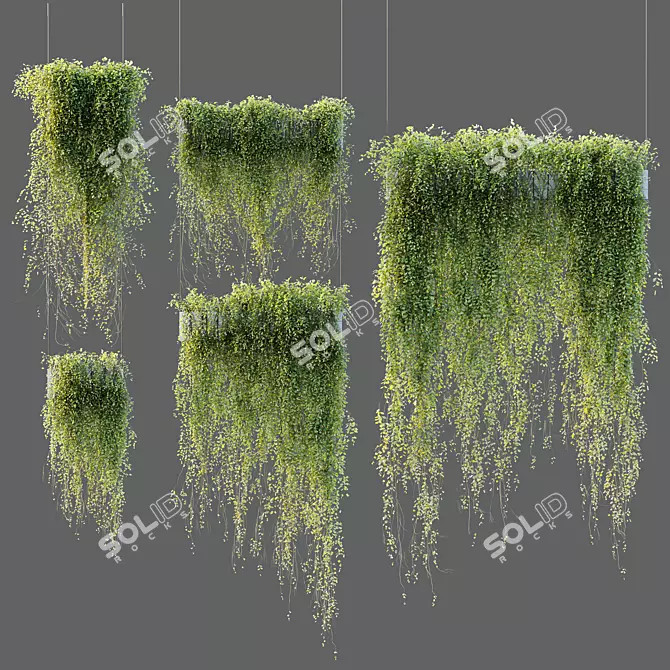 Succulent Hanging Plant Set 3-Pack 3D model image 3