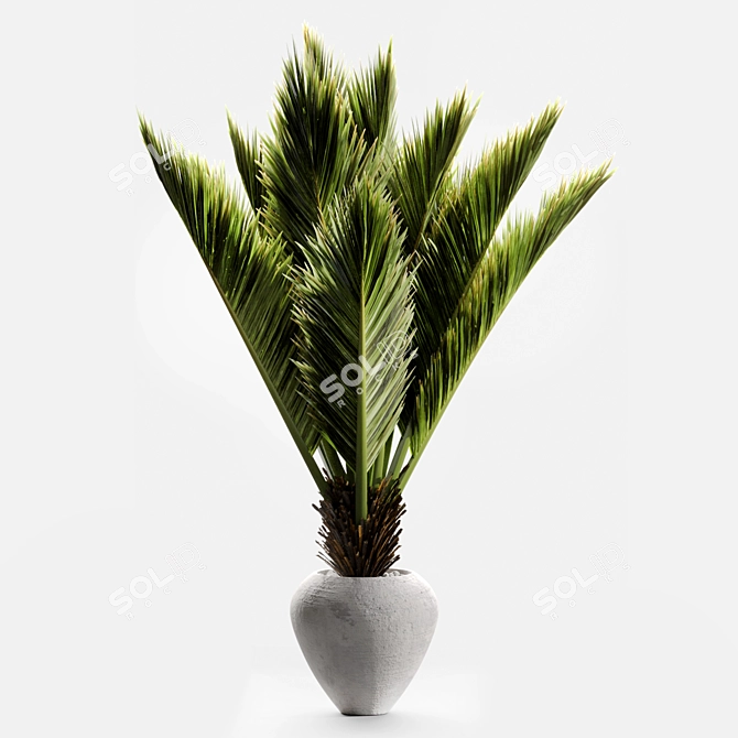 Rustic Chic Branches in Vases 3D model image 1