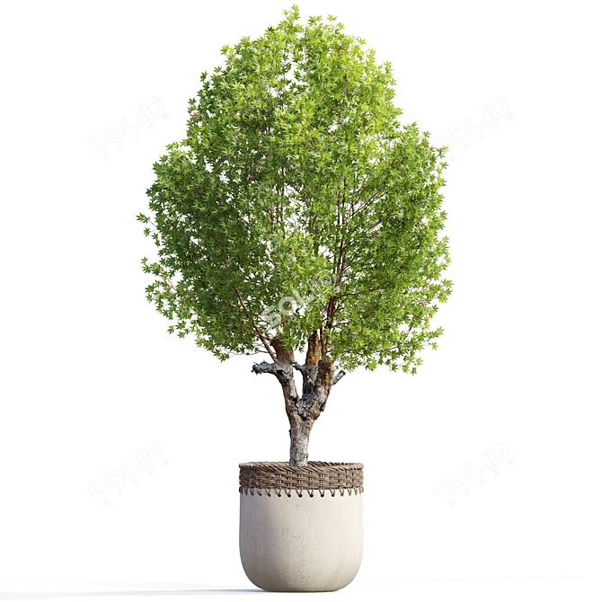 2m Tree Planter - 3D Model 3D model image 1