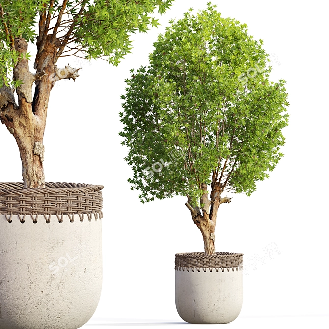 2m Tree Planter - 3D Model 3D model image 2