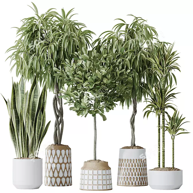 Tropical Indoor Plants Set Bundle 3D model image 1