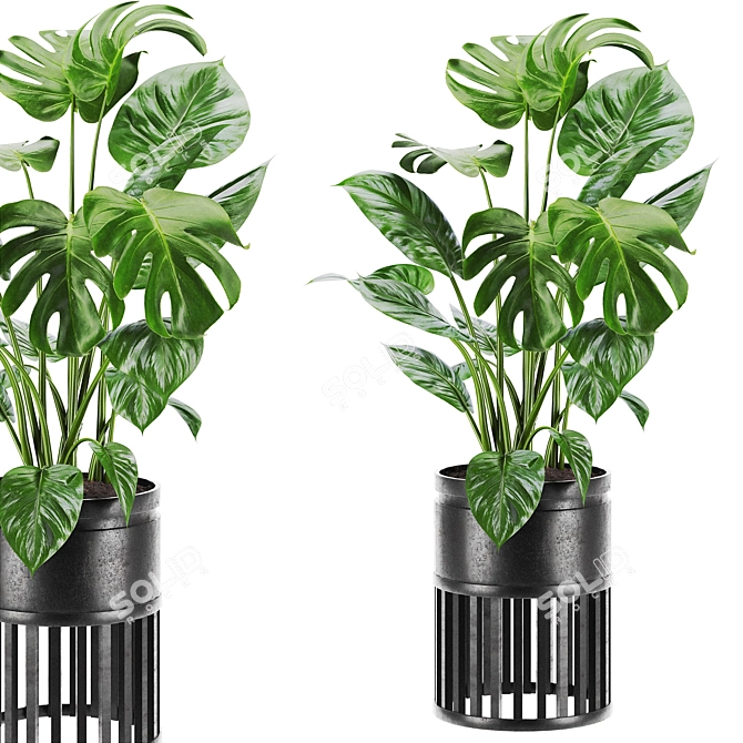 Vibrant Plants Set 3D Model 3D model image 1