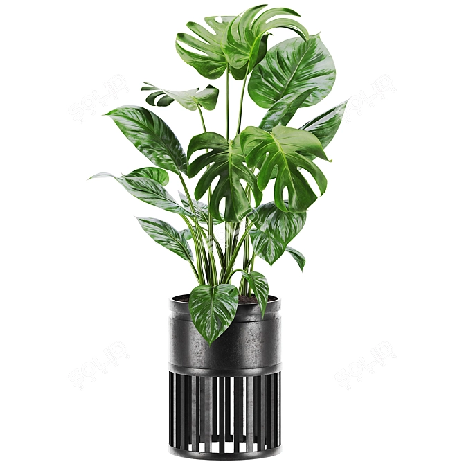 Vibrant Plants Set 3D Model 3D model image 2