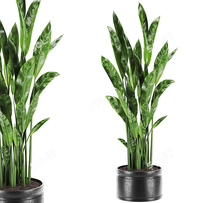  Botanic Bliss Set 86 3D model image 1