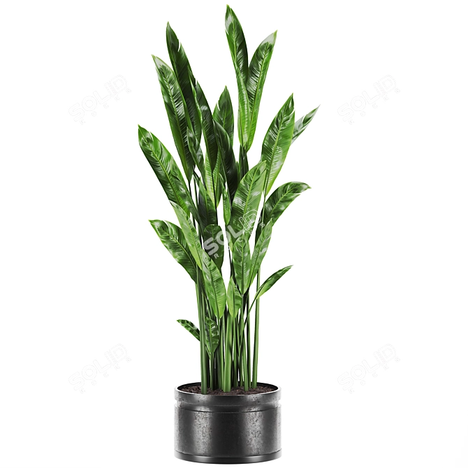  Botanic Bliss Set 86 3D model image 2