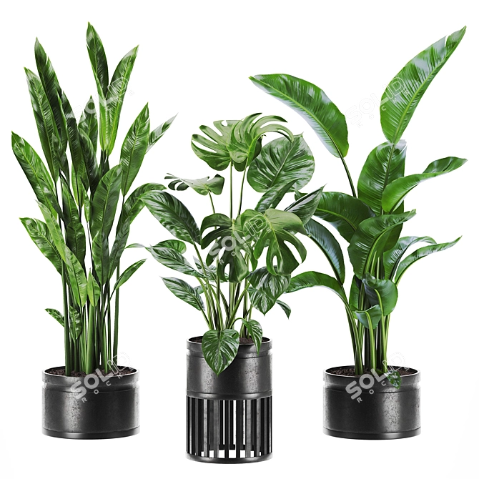 Stylish Plants Set 85 Rendered 3D model image 2