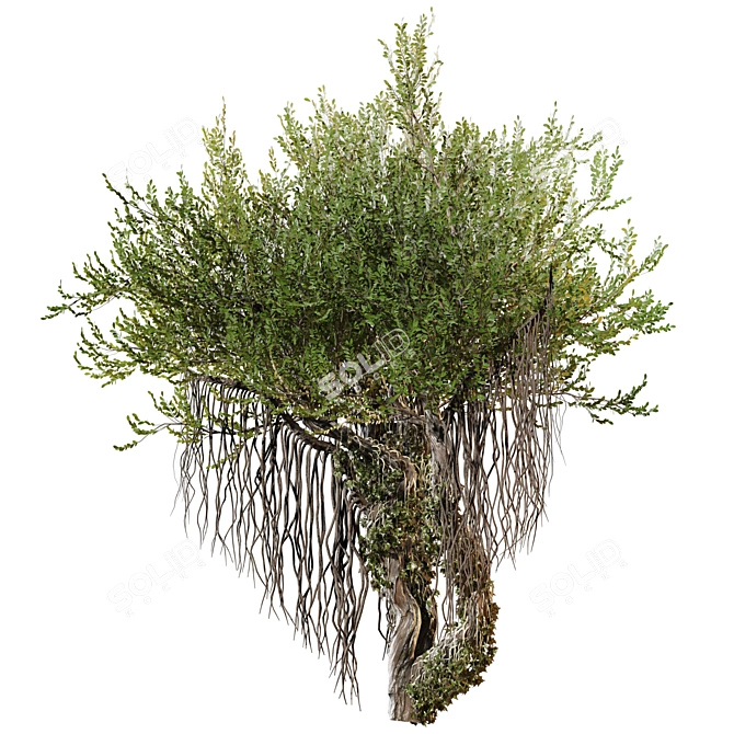 Jungle Tree & Ivy Parts 3D model image 2