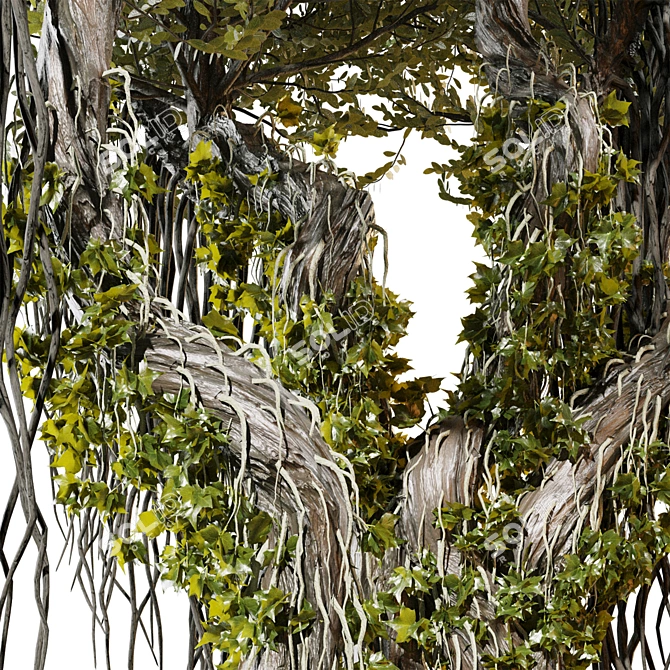 Jungle Tree & Ivy Parts 3D model image 3