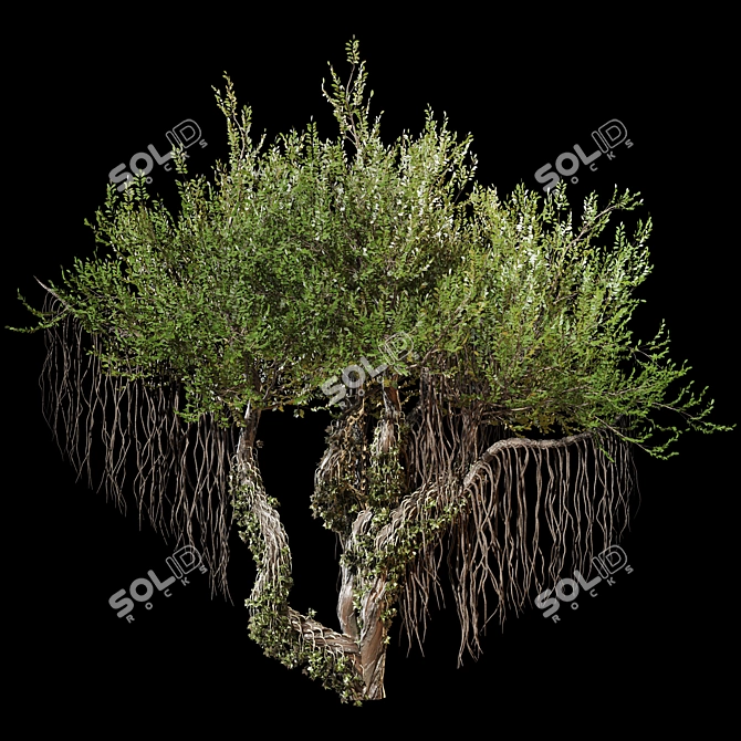 Jungle Tree & Ivy Parts 3D model image 4