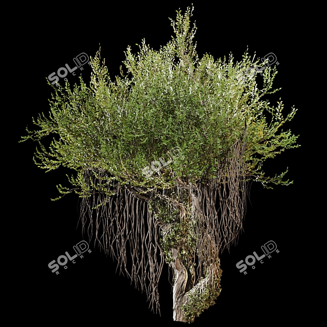 Jungle Tree & Ivy Parts 3D model image 5