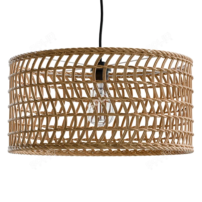 Handwoven Rattan Pendant Lamp Bali 3D model image 1