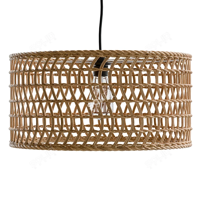 Handwoven Rattan Pendant Lamp Bali 3D model image 4