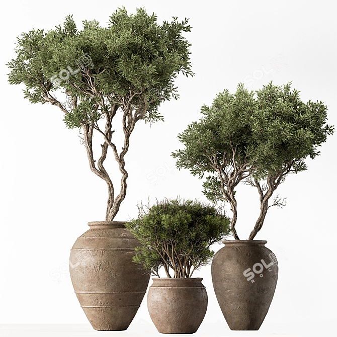 626 Outdoor Tree in Pot 3D model image 1