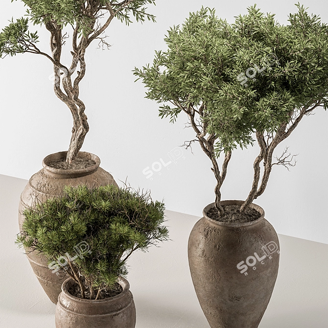 626 Outdoor Tree in Pot 3D model image 2