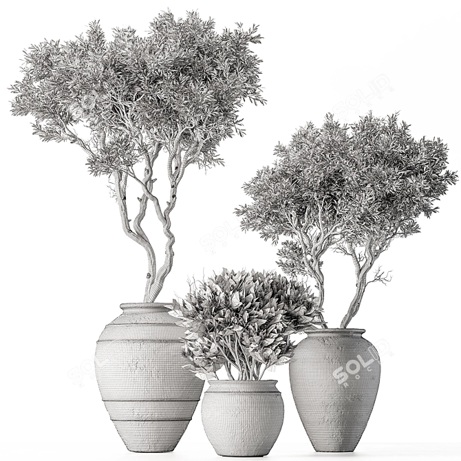 626 Outdoor Tree in Pot 3D model image 5