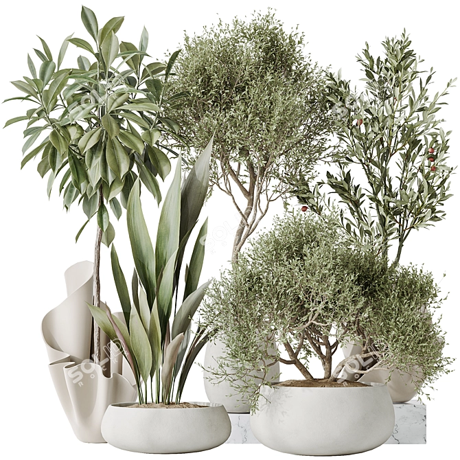 Luxury Indoor Plant Set Collection 3D model image 1