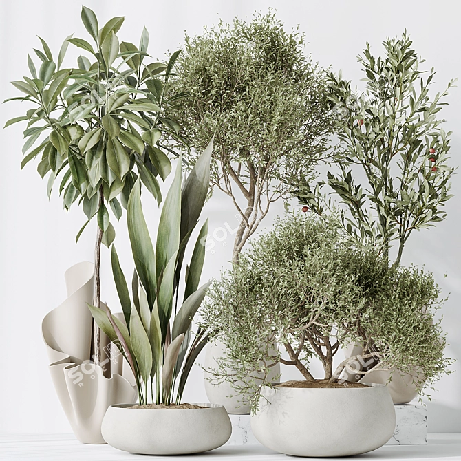 Luxury Indoor Plant Set Collection 3D model image 2