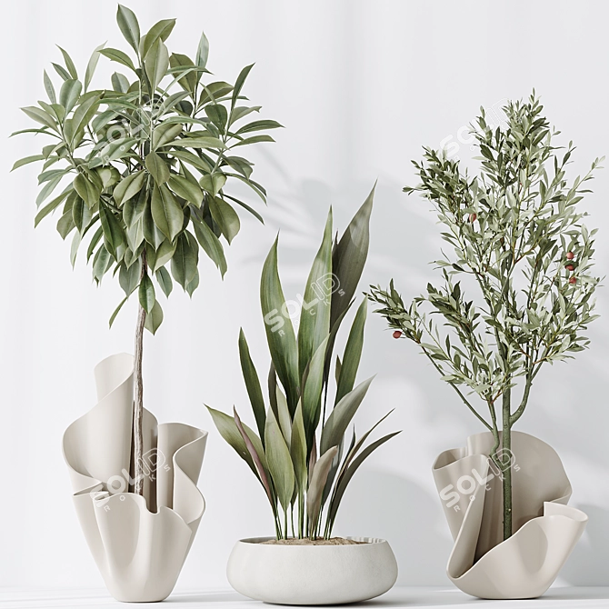 Luxury Indoor Plant Set Collection 3D model image 4