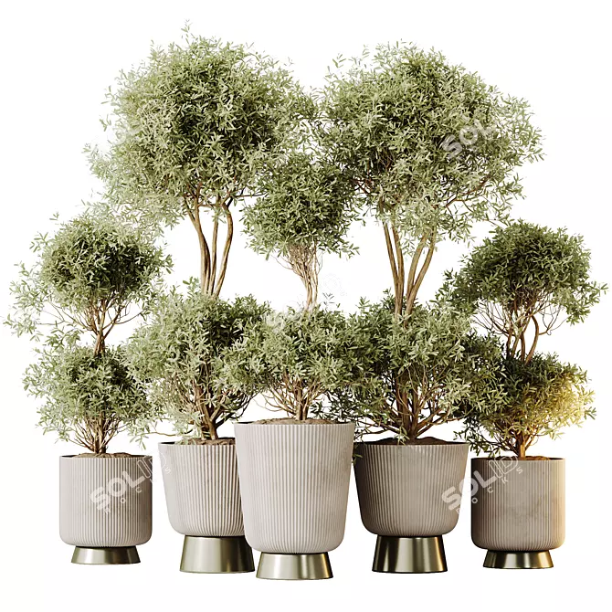 Elegant Olive Tree Set for Stylish Home 3D model image 1