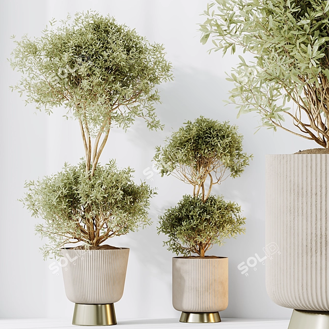 Elegant Olive Tree Set for Stylish Home 3D model image 2