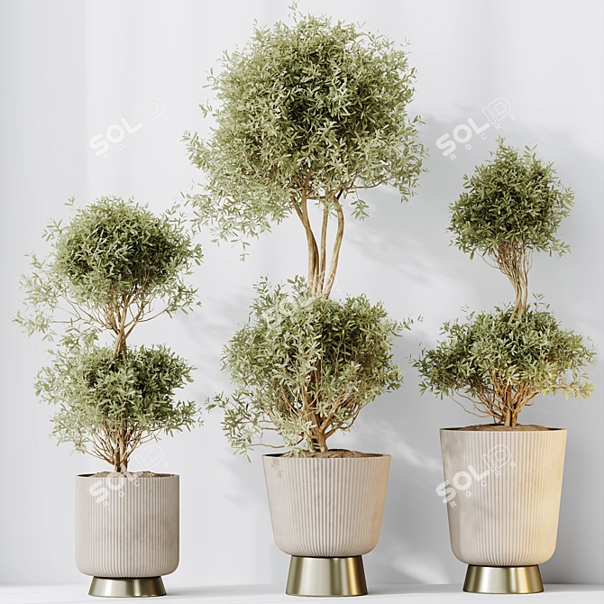 Elegant Olive Tree Set for Stylish Home 3D model image 3