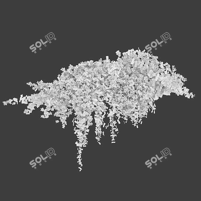 Dual-Colored Bougainvillea Vines 4m 3D model image 4