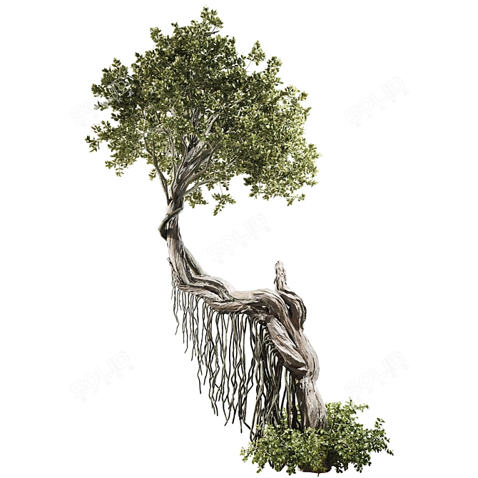 High Quality Jungle Tree Model 3D model image 1