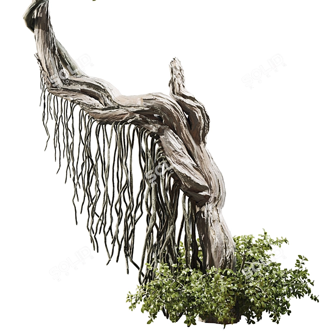 High Quality Jungle Tree Model 3D model image 3