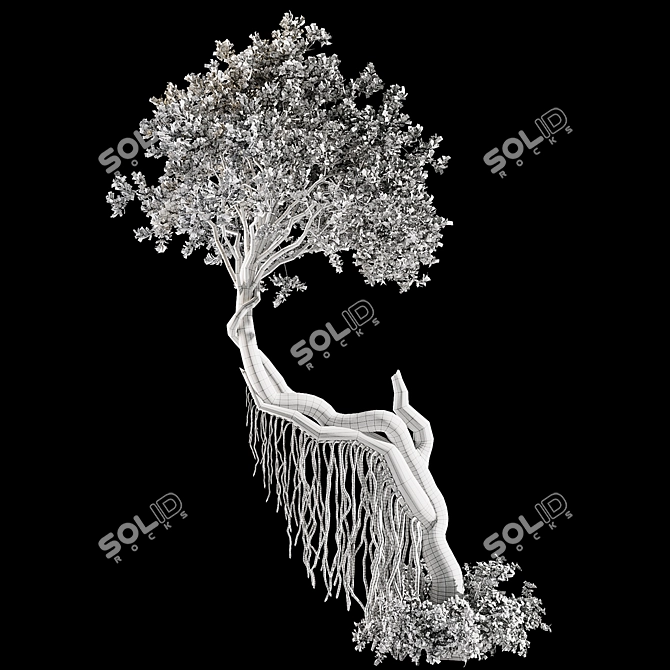 High Quality Jungle Tree Model 3D model image 6